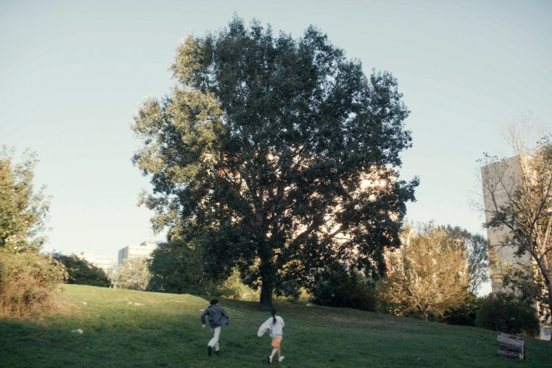 pic-2